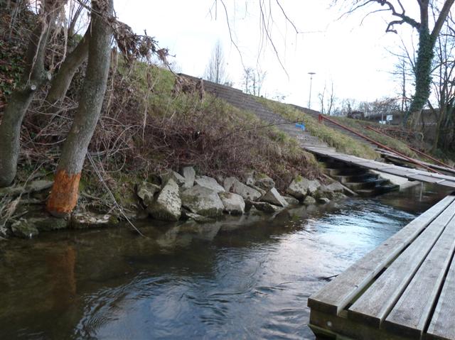 Biber im URCD 2014 1