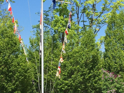 Anrudern2019 IMG 13914MS