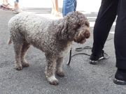 Anrudern2019 IMG 20190501 111221JH