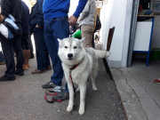 Anrudern2019 IMG 20190501 115200JH