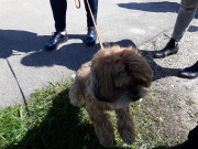 Anrudern2019 IMG 20190501 120833JH