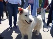 Anrudern2019 IMG 20190501 121433JH