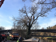 Flosserneuerung2017 IMG 1507