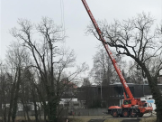 Flosserneuerung 2017 1