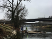 Flosserneuerung 2017 6