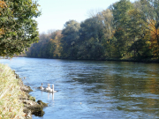 Stauabsenkung2017 Fihei JH P1040417