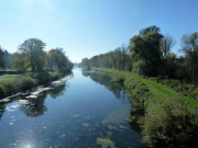 Stauabsenkung2017 Fihei JH P1040418