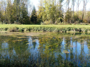 Stauabsenkung2017 Fihei JH P1040421