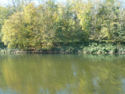 Stauabsenkung2017 Fihei JH P1040425