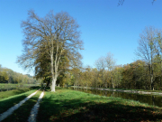 Stauabsenkung2017 Fihei JH P1040427