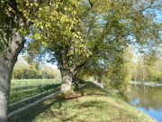 Stauabsenkung2017 Fihei JH P1040429