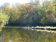 Stauabsenkung2017 Fihei JH P1040440