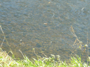 Stauabsenkung2017 Fihei JH P1040448