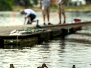 Vereinsregatta 2026 DWH 03155